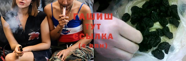 ешки Инта