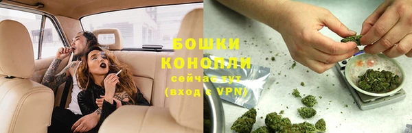 стафф Иннополис