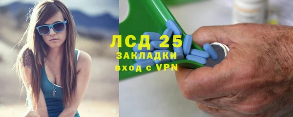стафф Иннополис