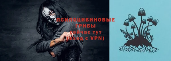 молекула духа Инсар
