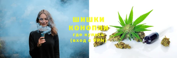 молекула духа Инсар
