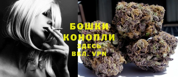 ешки Инта