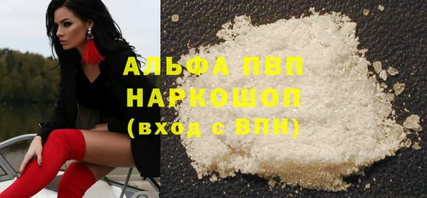 ешки Инта