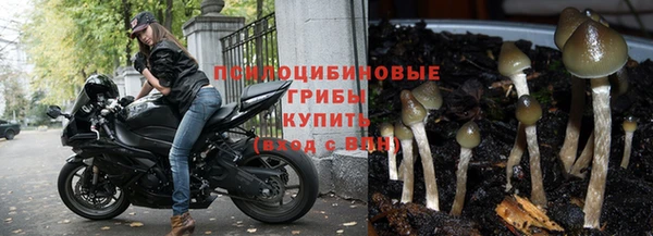 молекула духа Инсар
