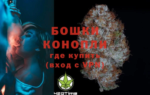 ешки Инта