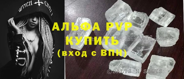 стафф Иннополис